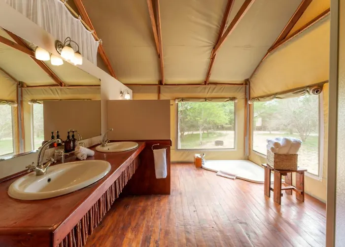 Lion Tree Top Lodge