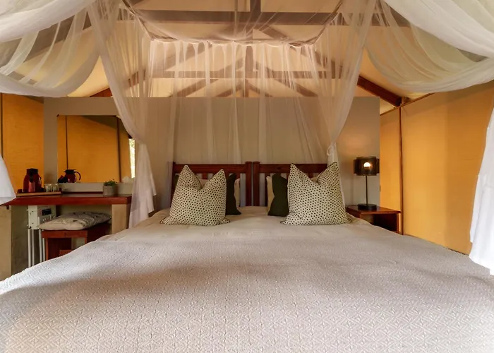 Lion Tree Top Lodge