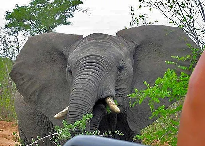 Nkorho Bush Lodge